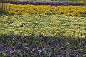 BUGA Schwerin   074